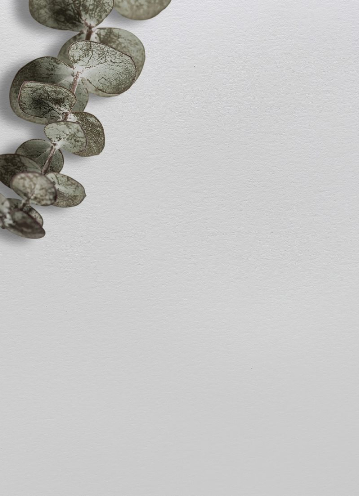 background,aesthetic,background design,leaves,green,minimal,botanical,gray,graphic,design,creative,blank space,rawpixel