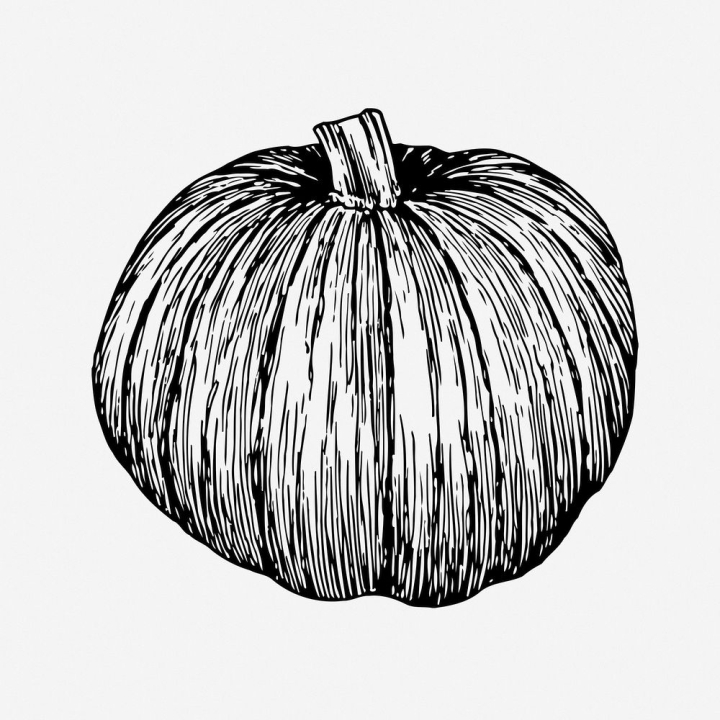 Pumpkin Graphic Bush Plant Black White Isolated Sketch Illustration Vector  Royalty Free SVG, Cliparts, Vectors, and Stock Illustration. Image 82689975.