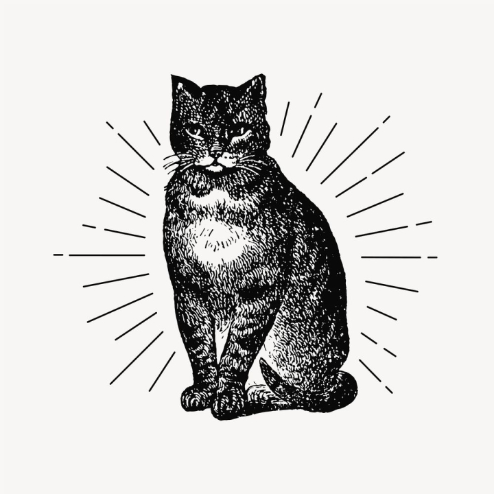 Free: Cat clipart, vintage pet drawing  Free Vector Illustration -  rawpixel 