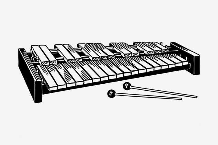 Xylophone Stock Photos, Stock Images and Vectors | Stockfresh