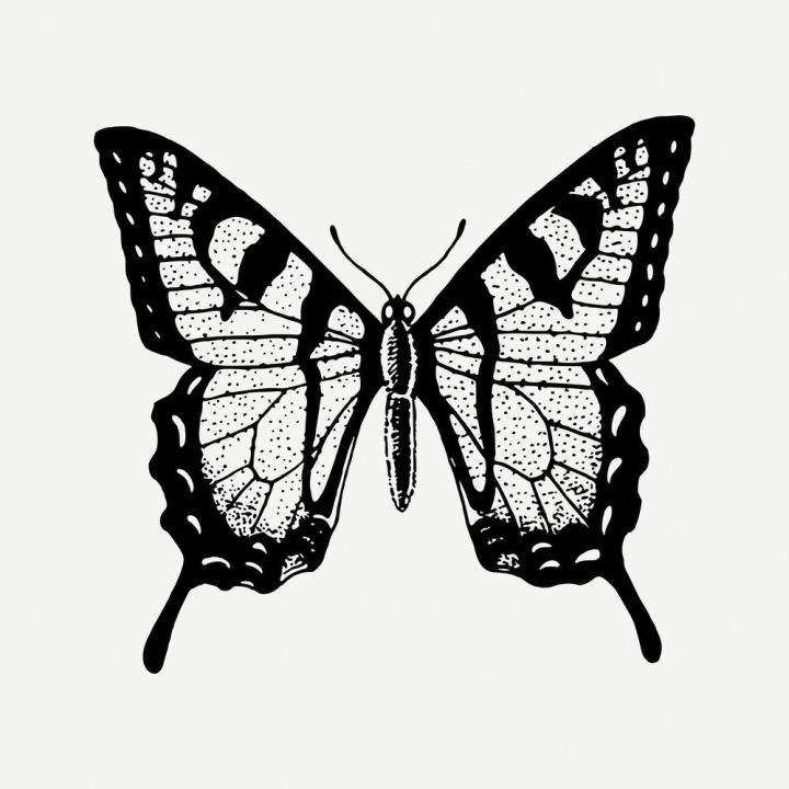 vintage,public domain,black,butterfly,illustrations,collage element,pencil,free,animal,black and white,drawing,graphic,rawpixel