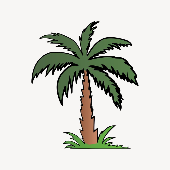 Free: Palm tree sticker, botanical illustration