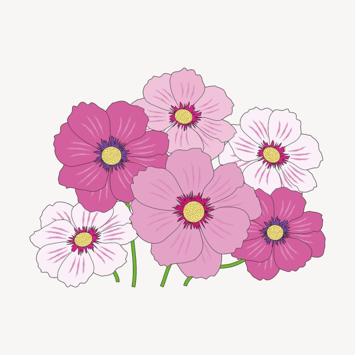 flower,sticker,public domain,pink,floral,botanical,illustrations,white flower,free,spring,pink flower,colour,rawpixel