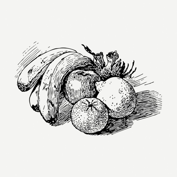 sticker,vintage,public domain,collage,illustrations,fruits,collage element,food,free,black and white,drawing,graphic,rawpixel