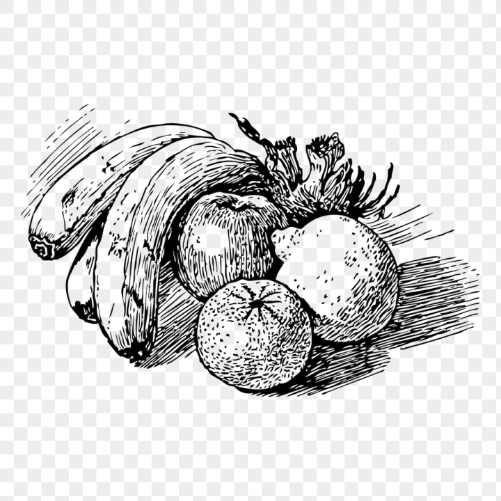 drawing,rawpixel,png,sticker,vintage,public domain,collage,illustrations,fruits,collage element,food,free,black and white