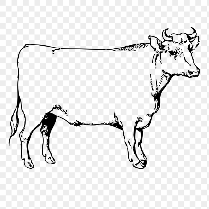 Free: Cow, bull png sticker, farm | Free PNG - rawpixel - nohat.cc