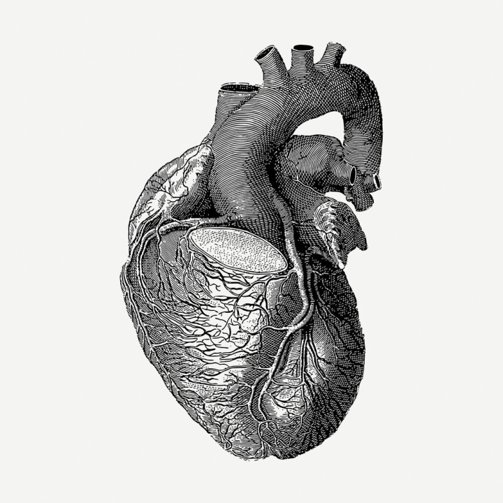 Realistic Heart Drawing : 3 Steps - Instructables