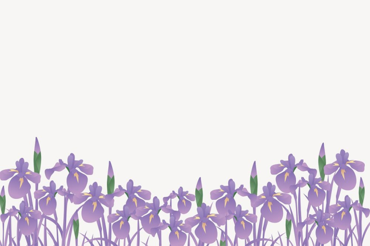 flower,public domain,border,floral,illustrations,purple flower,free,colour,graphic,design,blossom,field,rawpixel