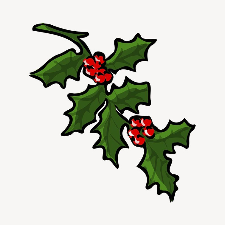 plant,christmas,leaf,public domain,nature,green,illustrations,red,free,colour,graphic,design,rawpixel