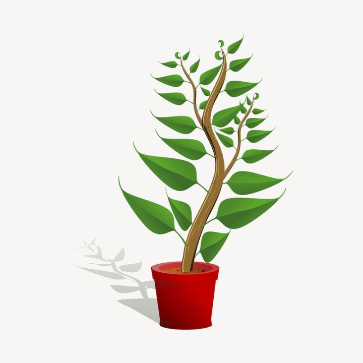plant,public domain,nature,green,botanical,illustrations,red,free,brown,colour,graphic,design,rawpixel