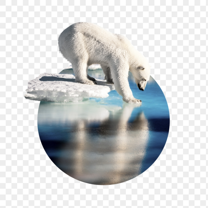 white,rawpixel,png,sticker,public domain,shape,ocean,circle,ice,collage element,water,photo,snow