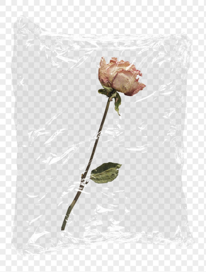 Flower Wrapping PNG Transparent Images Free Download