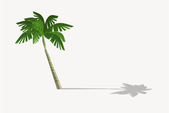 plant,tree,public domain,green,palm tree,tropical,botanical,illustrations,free,colour,graphic,design,rawpixel