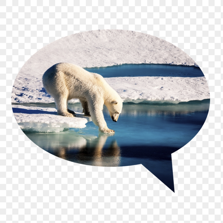 snow,rawpixel,speech bubble,png,sticker,public domain,shape,ocean,bubble,ice,collage element,water,photo