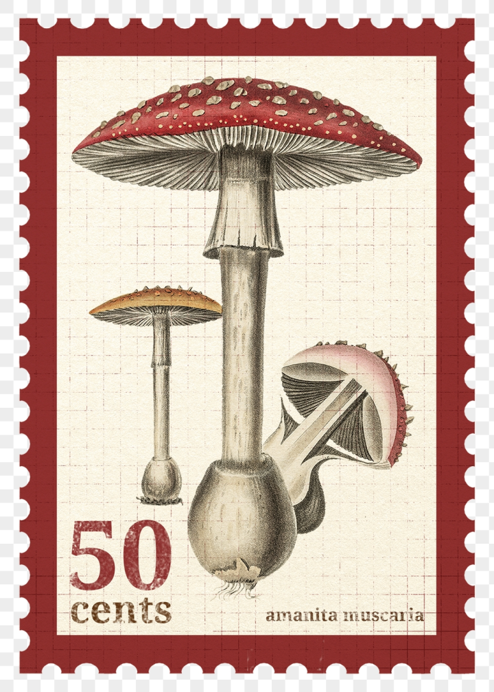 Free Png mushroom stamp sticker transparent Free PNG