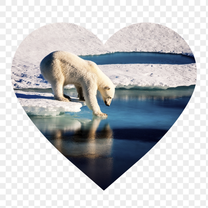 white,rawpixel,png,sticker,heart,public domain,shape,ocean,ice,cute,water,photo,snow