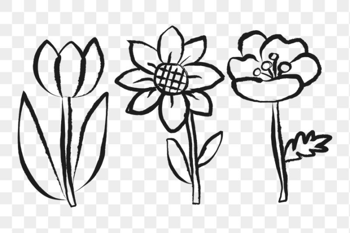 sticker png,rawpixel,flower,png,sticker,collage,journal sticker,sunflower,floral,minimal,black,botanical,illustration