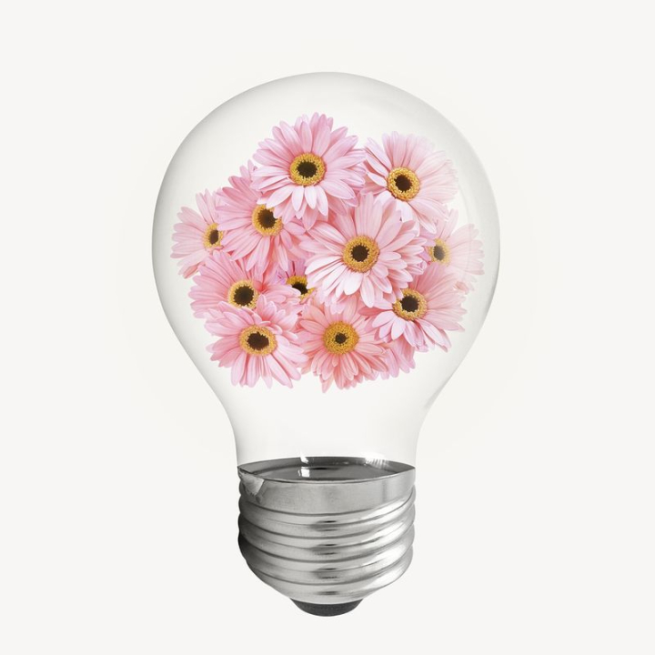 aesthetic,flower,sticker,pink,shape,nature,floral,botanical,spring,light bulb,pink flower,colour,rawpixel