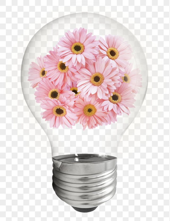 light bulb,rawpixel,aesthetic,flower,png,sticker,flower png,pink,shape,nature,floral,botanical,spring