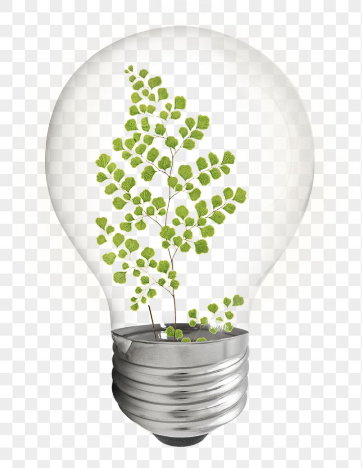 light bulb,rawpixel,plant,aesthetic,png,sticker,leaf,shape,nature,green,floral,botanical,spring