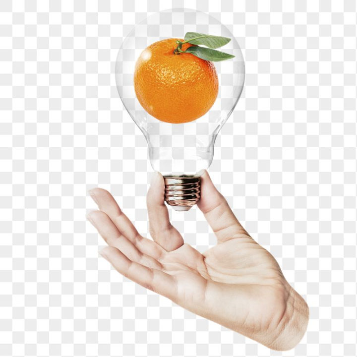 light bulb,rawpixel,png,sticker,png element,hand,person,illustration,fruit,orange,collage element,food,man