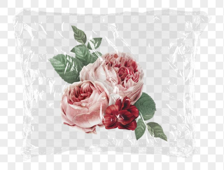 botanical,rawpixel,texture,frame,flower,png,sticker,png element,plastic texture,pink,plastic,rose,floral