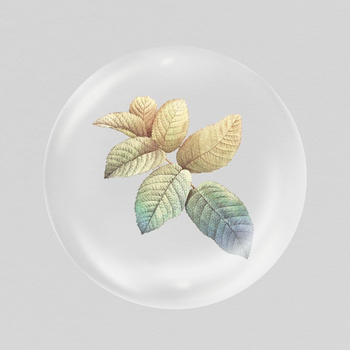 plant,aesthetic,sticker,gradient,leaf,collage,nature,in bubble,floral,botanical,circle,illustration,rawpixel