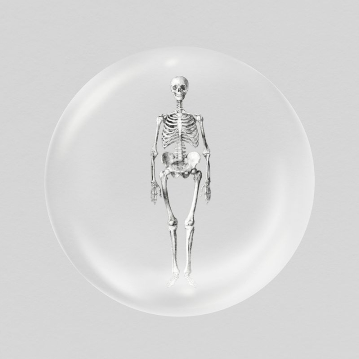 sticker,vintage,collage,in bubble,circle,halloween,badge,colour,anatomy,medical,skeleton,graphic,rawpixel