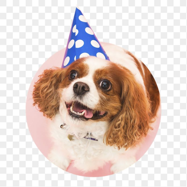 happy,rawpixel,background,png,pink,birthday,sticker png,dog,cute,collage element,photo,animals,badge