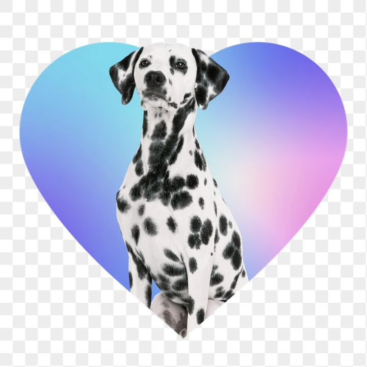 animals,rawpixel,aesthetic,png,sticker,gradient,heart,pink,collage,sticker png,dog,cute,pastel