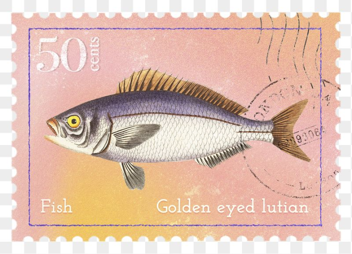 Fish Story Digital Stamp Download 