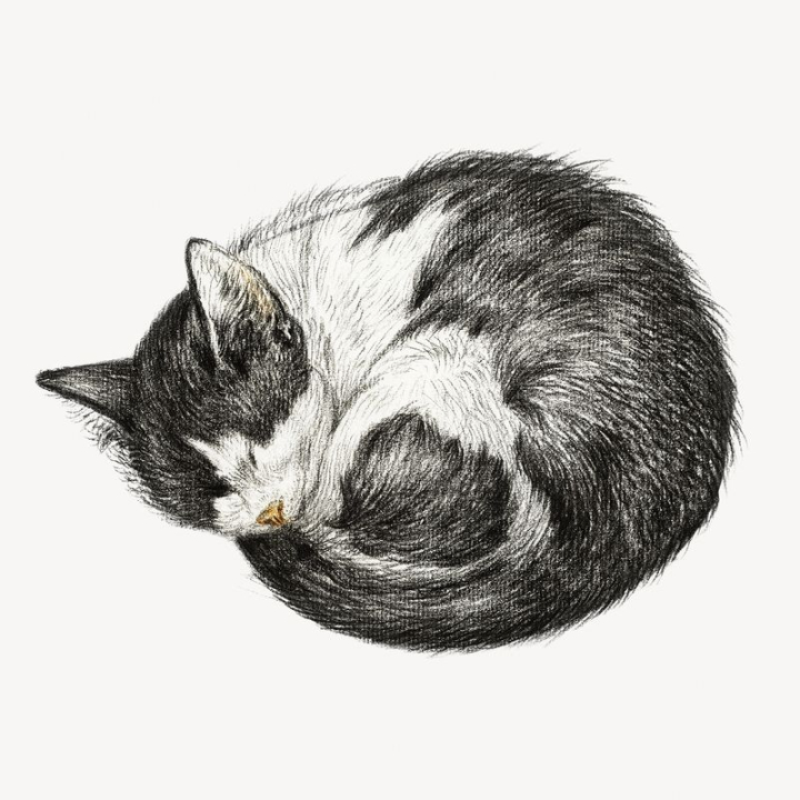 sticker,vintage,art,illustration,cat,cute,collage element,animal,black and white,drawing,pet,graphic,rawpixel
