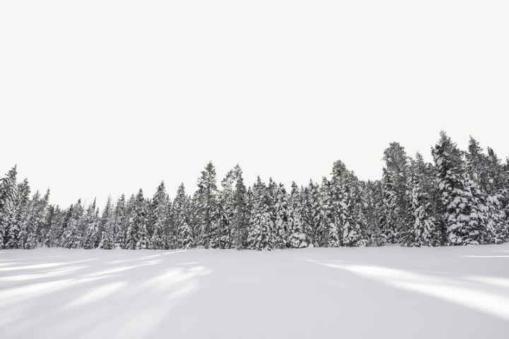 collage,nature,border,forest,collage element,snow,landscape,winter,graphic,design,beautiful,design element,rawpixel