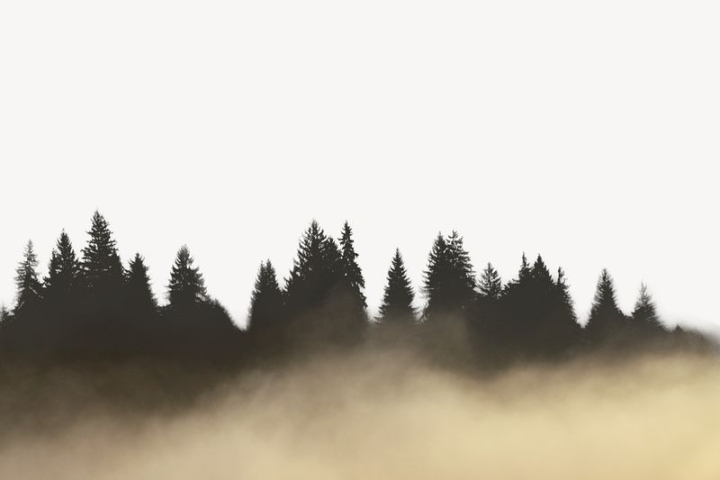 collage,nature,border,collage element,fog,landscape,graphic,design,mist,beautiful,morning,design element,rawpixel