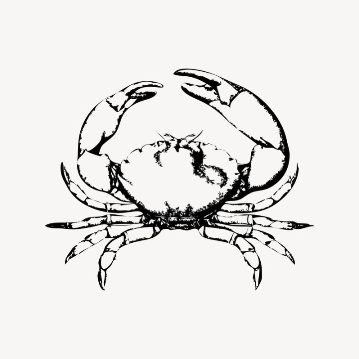 vintage,public domain,black,illustrations,vector,free,animal,black and white,drawing,graphic,design,crab,rawpixel