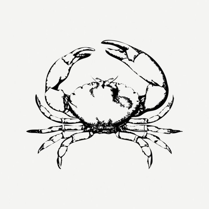 vintage,public domain,black,illustrations,collage element,free,animal,black and white,drawing,graphic,design,crab,rawpixel