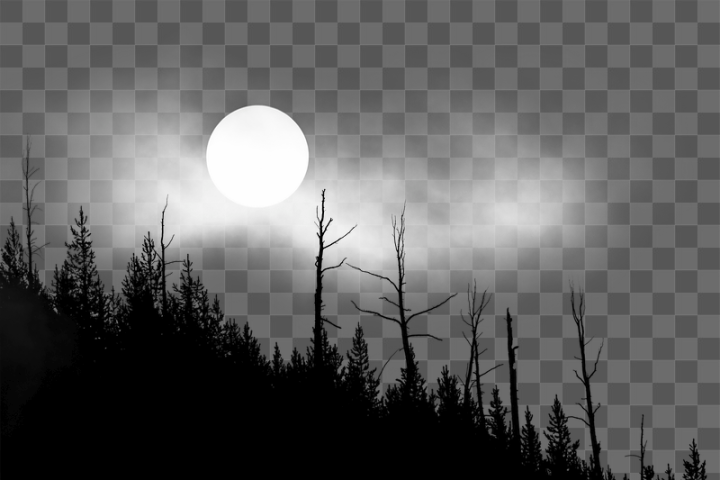 Transparent Full Moon Images  Free Photos, PNG Stickers, Wallpapers &  Backgrounds - rawpixel