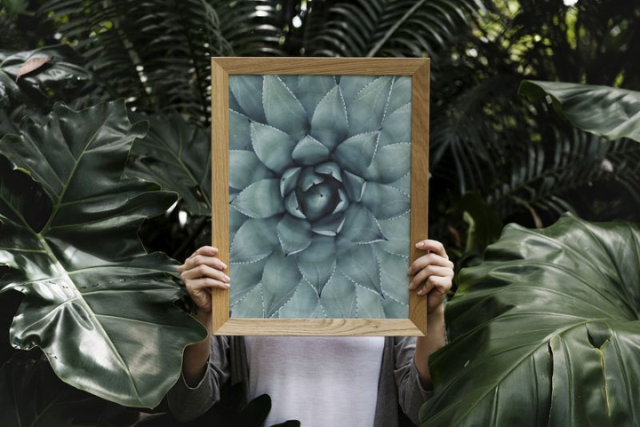 frame,plant,posters mockups,hands,picture frame mockup,mockup,nature,wooden,green,photo frame,person,tropical,rawpixel