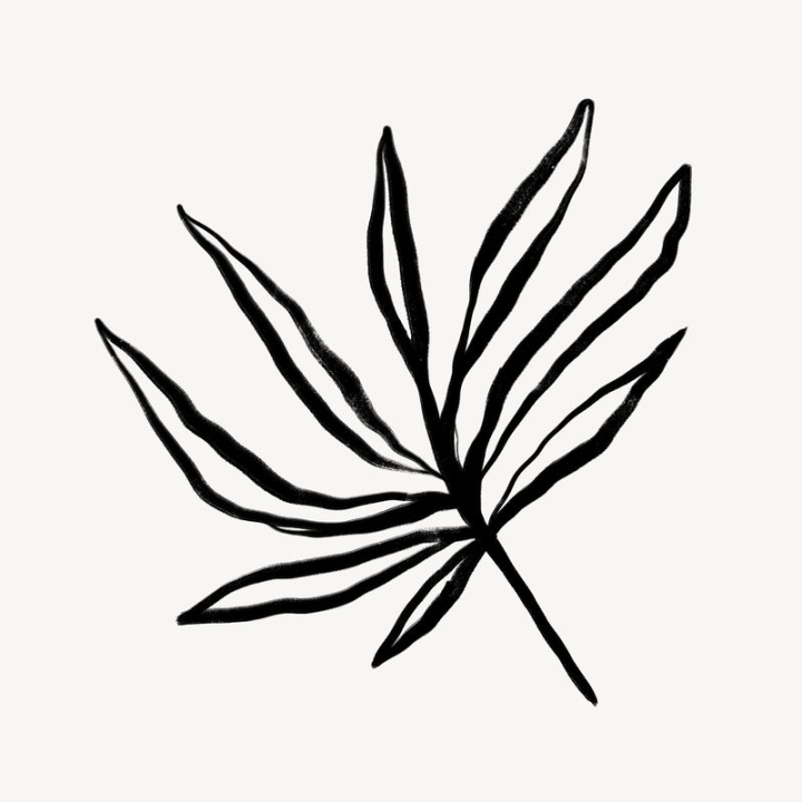 aesthetic,leaf,abstract,tropical,black,botanical,illustration,collage element,line art,palm leaves,doodle,black and white,rawpixel