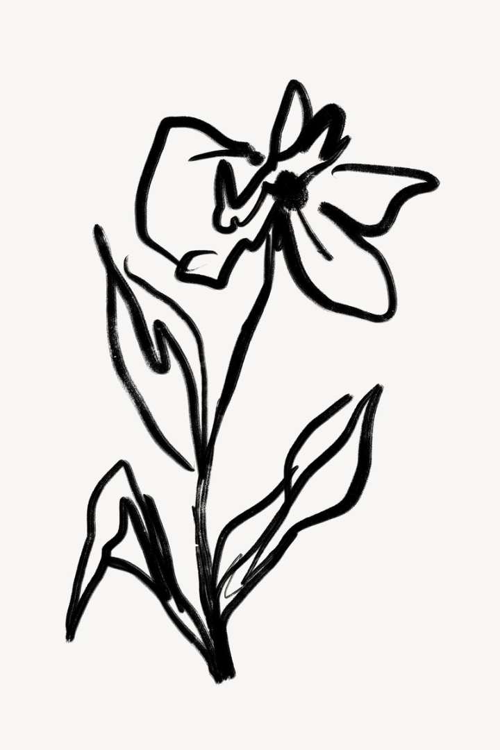 aesthetic,flower,abstract,floral,black,botanical,illustration,collage element,line art,doodle,black and white,drawing,rawpixel