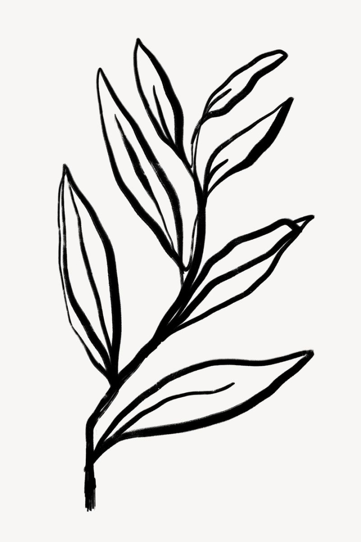 aesthetic,leaves,abstract,tropical,black,botanical,illustration,collage element,line art,doodle,black and white,memphis,rawpixel