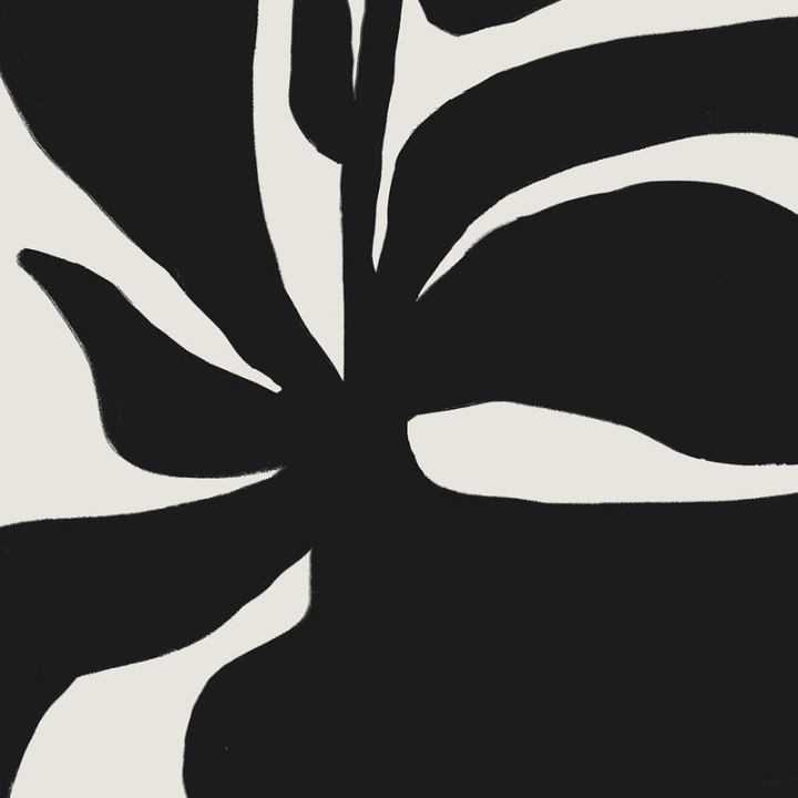 background,aesthetic backgrounds,aesthetic,abstract backgrounds,leaf,black background,abstract,black,botanical,illustration,collage element,line art,rawpixel