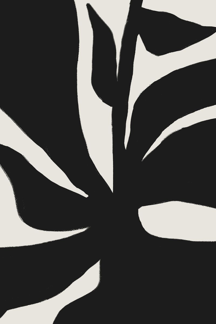 background,aesthetic backgrounds,aesthetic,abstract backgrounds,leaf,black background,abstract,black,botanical,illustration,collage element,line art,rawpixel