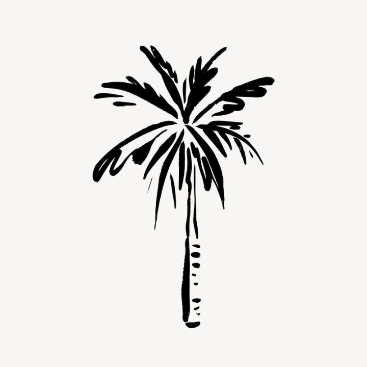 aesthetic,leaf,tree,abstract,beach,tropical,black,palm tree,botanical,illustration,collage element,summer,rawpixel