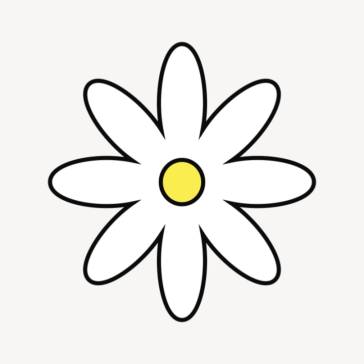 flower,floral,illustration,white,cute,colour,cartoon,graphic,design,daisy,blossom,creative,rawpixel
