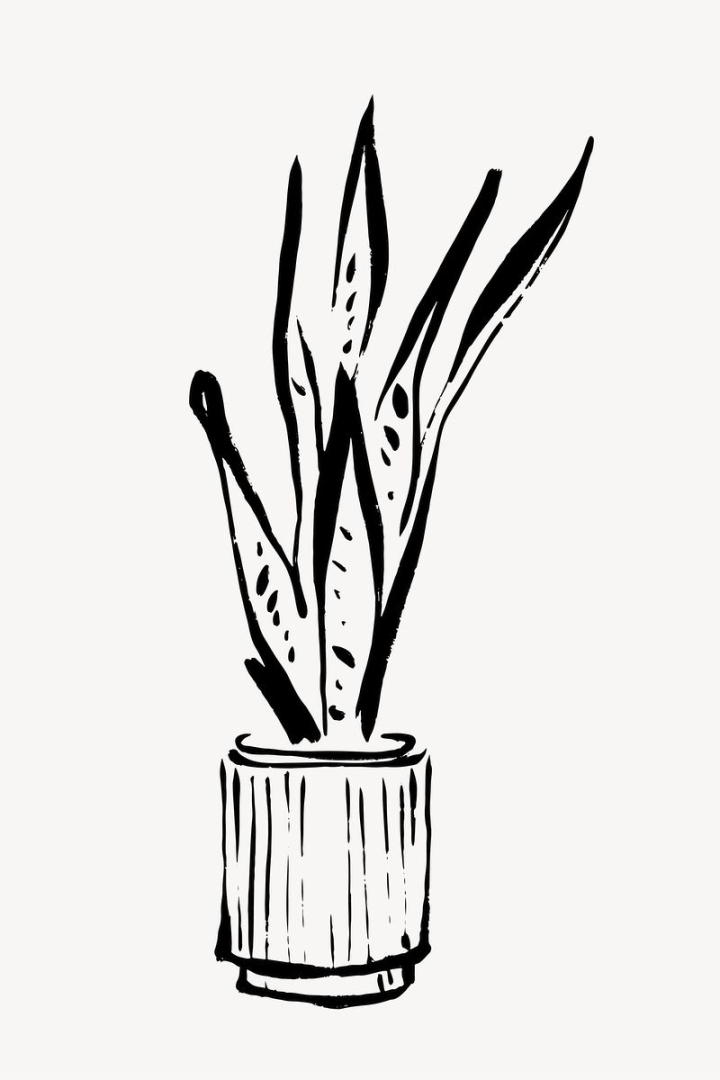 aesthetic,plant,leaf,abstract,black,botanical,illustration,collage element,line art,doodle,potted plant,black and white,rawpixel