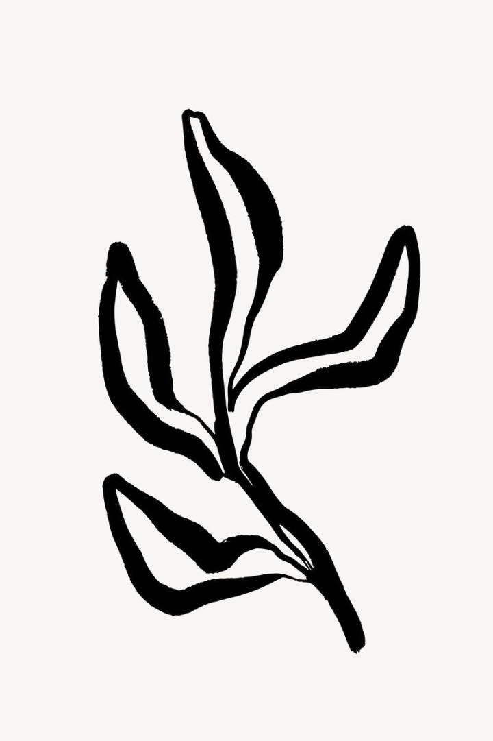 aesthetic,leaf,abstract,black,botanical,illustration,collage element,line art,branch,doodle,black and white,memphis,rawpixel