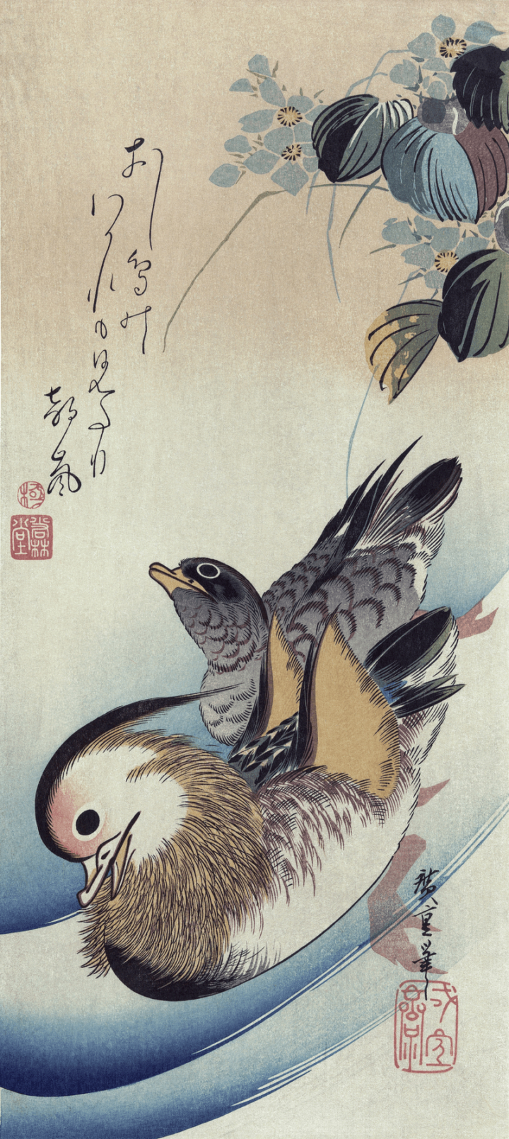 art,vintage,public domain,bird,ducks,photo,animal,japanese,japan,color,couple,wind,rawpixel