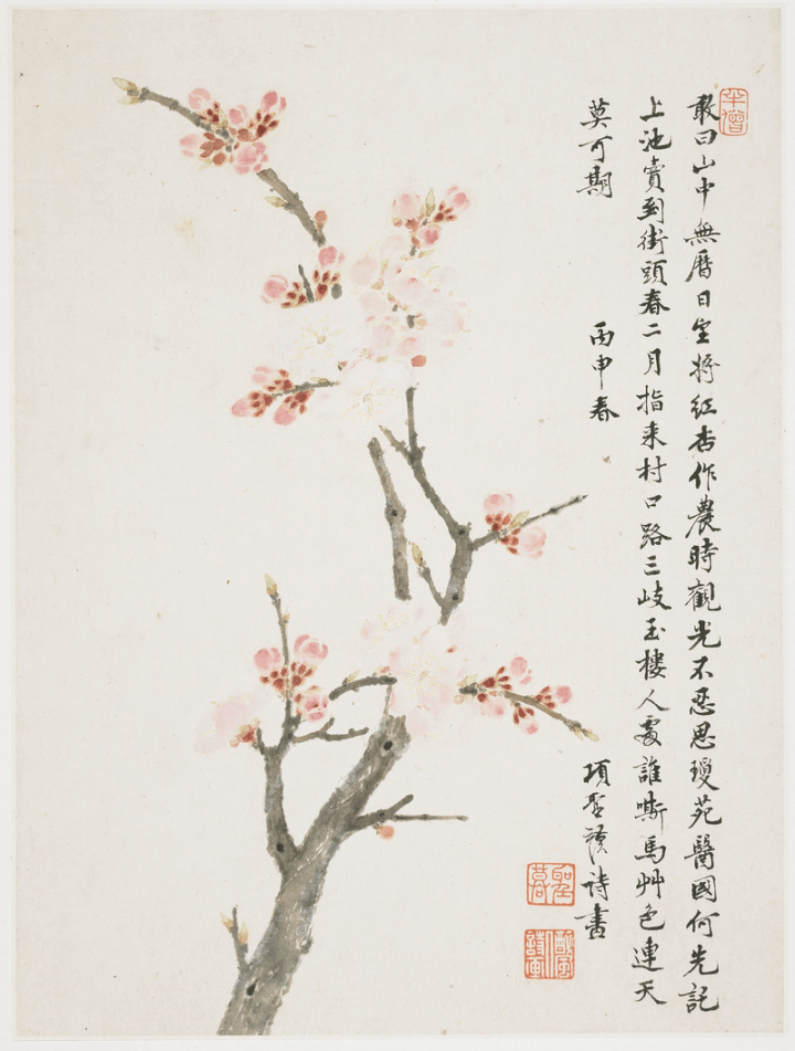 flowers,art,vintage,leaf,public domain,pink,paintings,photo,branch,japanese,japan,chinese,rawpixel