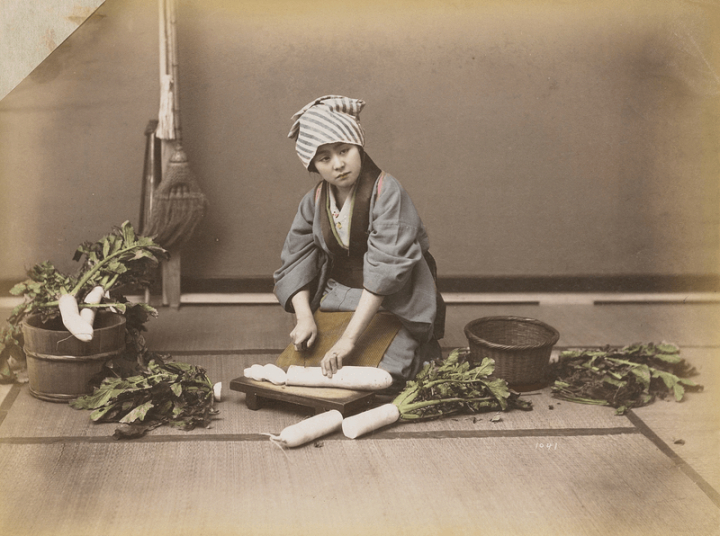 plant,vintage,art,public domain,blue,wood,woman,person,white,photo,japan,grey,rawpixel